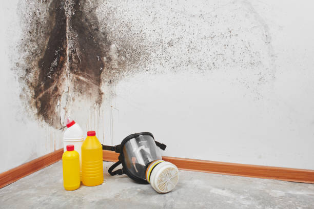 Best Residential Mold Removal  in Stanley, VA