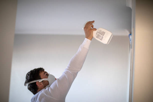 Best Mold Removal Company Near Me  in Stanley, VA