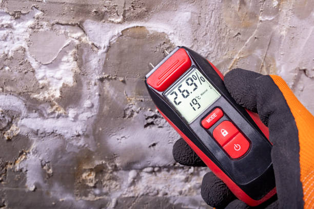Best Office Mold Removal Services  in Stanley, VA