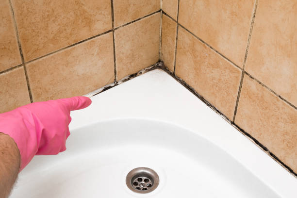 Best Toxic Mold Removal  in Stanley, VA